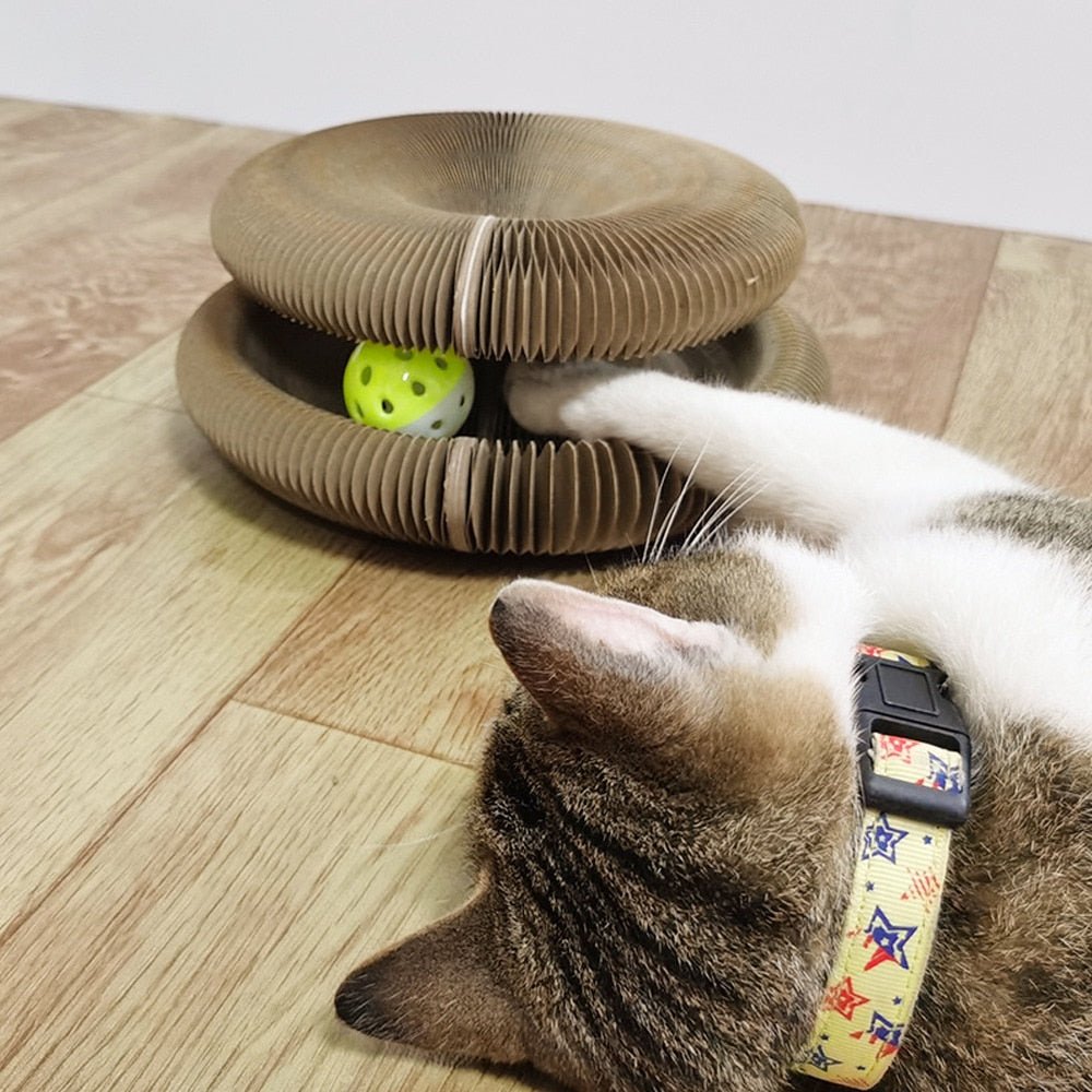 Cats Scratching Board - PetCordion - beumoonshop